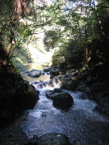 amaiwato-01.jpg