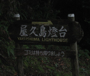 yakushimatodai-01.JPG
