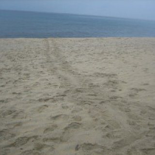 inakahama-03