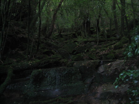 2016.08.25-239.JPG.jpg