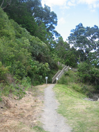 2017-NZ-049.JPG.jpg