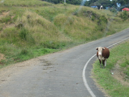 2017-NZ-127.JPG.jpg