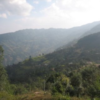 nepal2010-12