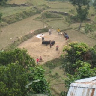 nepal2010-31