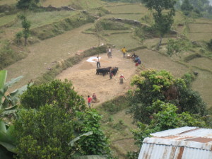 nepal2010-31.jpg