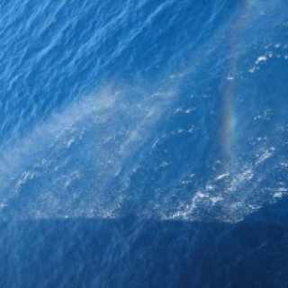 yakushima2016-01