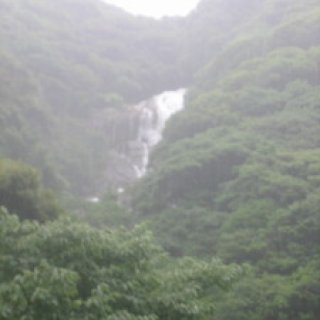 yakushima2016-32