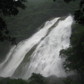 yakushima2016-34