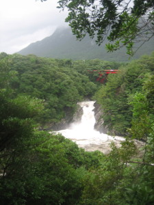 yakushima2016-37..JPG.jpg