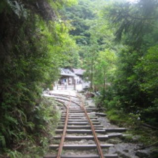 yakushima2016-52.