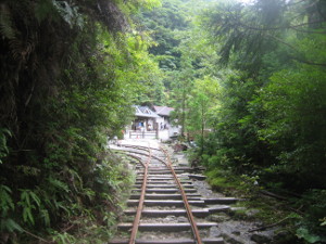 yakushima2016-52..JPG.jpg