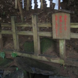 2008.kashima-shrine-03