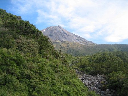 nz2017-2-270.JPG.jpg