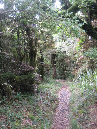 nz2017-2-294.JPG.jpg