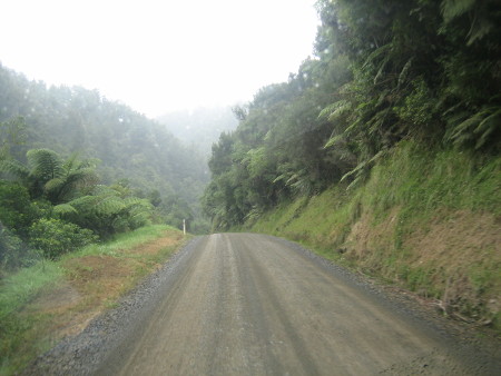 nz2017-2-350.JPG.jpg
