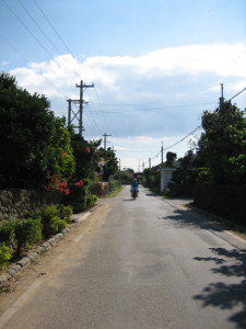 okinawa-2014-13-01.jpg