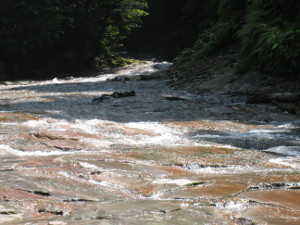 takachiho2014-03-04.jpg