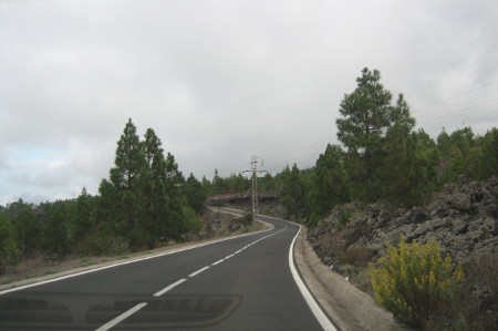 275.JPG