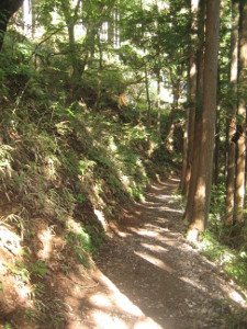 mitake-2016-06.JPG