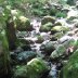 mitake-rockgarden-05