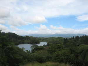 2017-nz-west-26.JPG