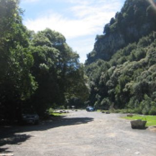 Mangaokewa-Scenic-Reserve-Riverside-Walk-07