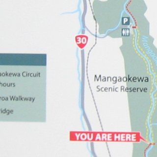 Mangaokewa-Scenic-Reserve-Riverside-Walk-map