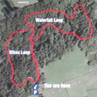 Ratapihipihi-Scenic-Reserve-map