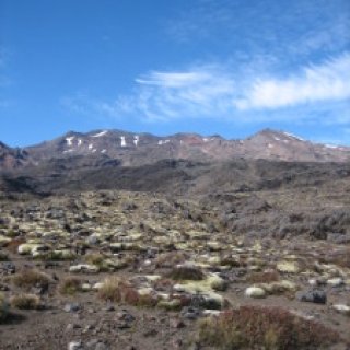 Whakapaapit-Valley-Track-02