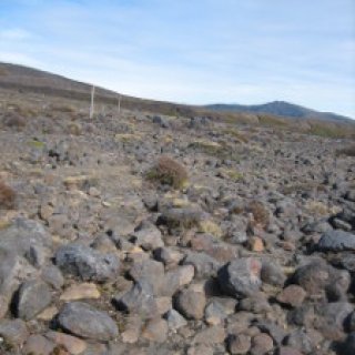 Whakapaapit-Valley-Track-03