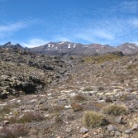 Whakapaapit-Valley-Track-04