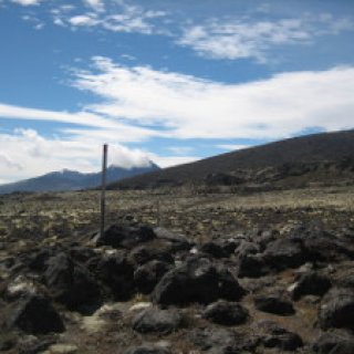 Whakapaapit-Valley-Track-07