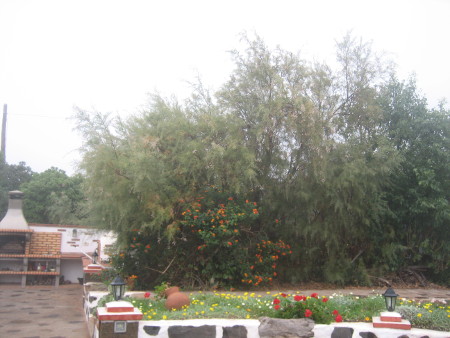 723.JPG