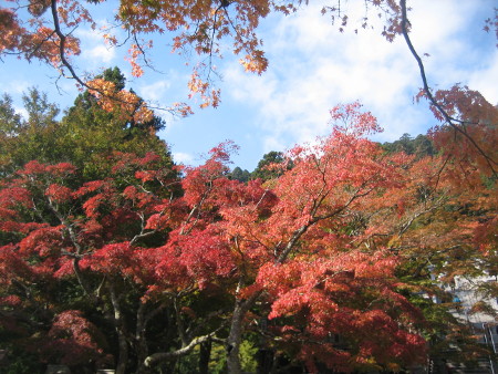 2017.11.06-ooyama-31.JPG