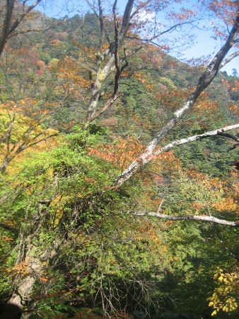 2017.11.06-ooyama-35.JPG