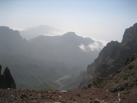 795.JPG