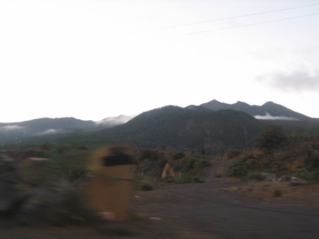 960.JPG