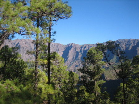 1024.JPG