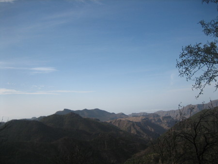 1345.JPG