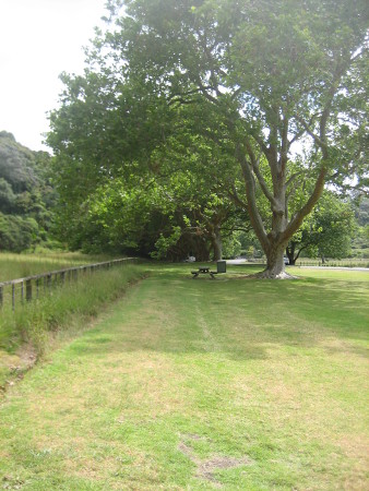 nz2018-071.JPG