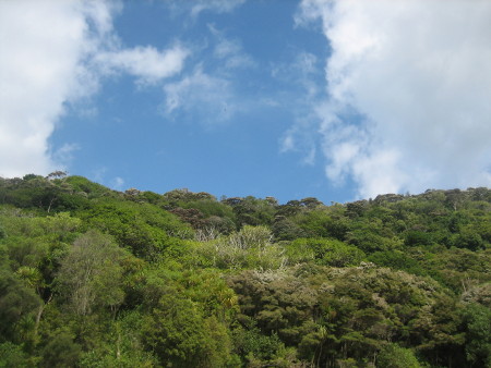 nz2018-073.JPG