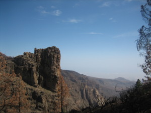 168.JPG