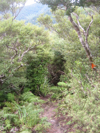 2018-NZ-travel-636.JPG