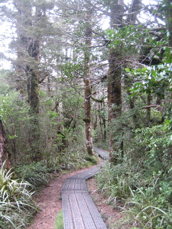 2018-NZ-travel-812.JPG