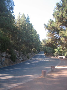 Piedra-La-Rosa-06.JPG