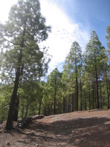 Roue-Nublo-S-70-05.JPG