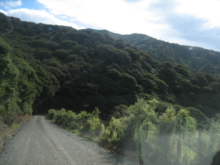 2018-NZ-travel-1185.JPG