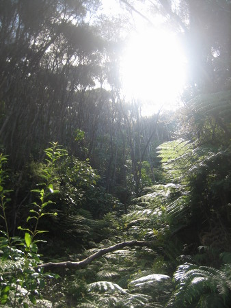 2018-NZ-travel-1355.JPG