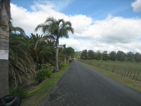 2018-NZ-travel-1419.JPG