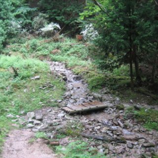 2018-hieizan-116